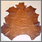 Leather Hides